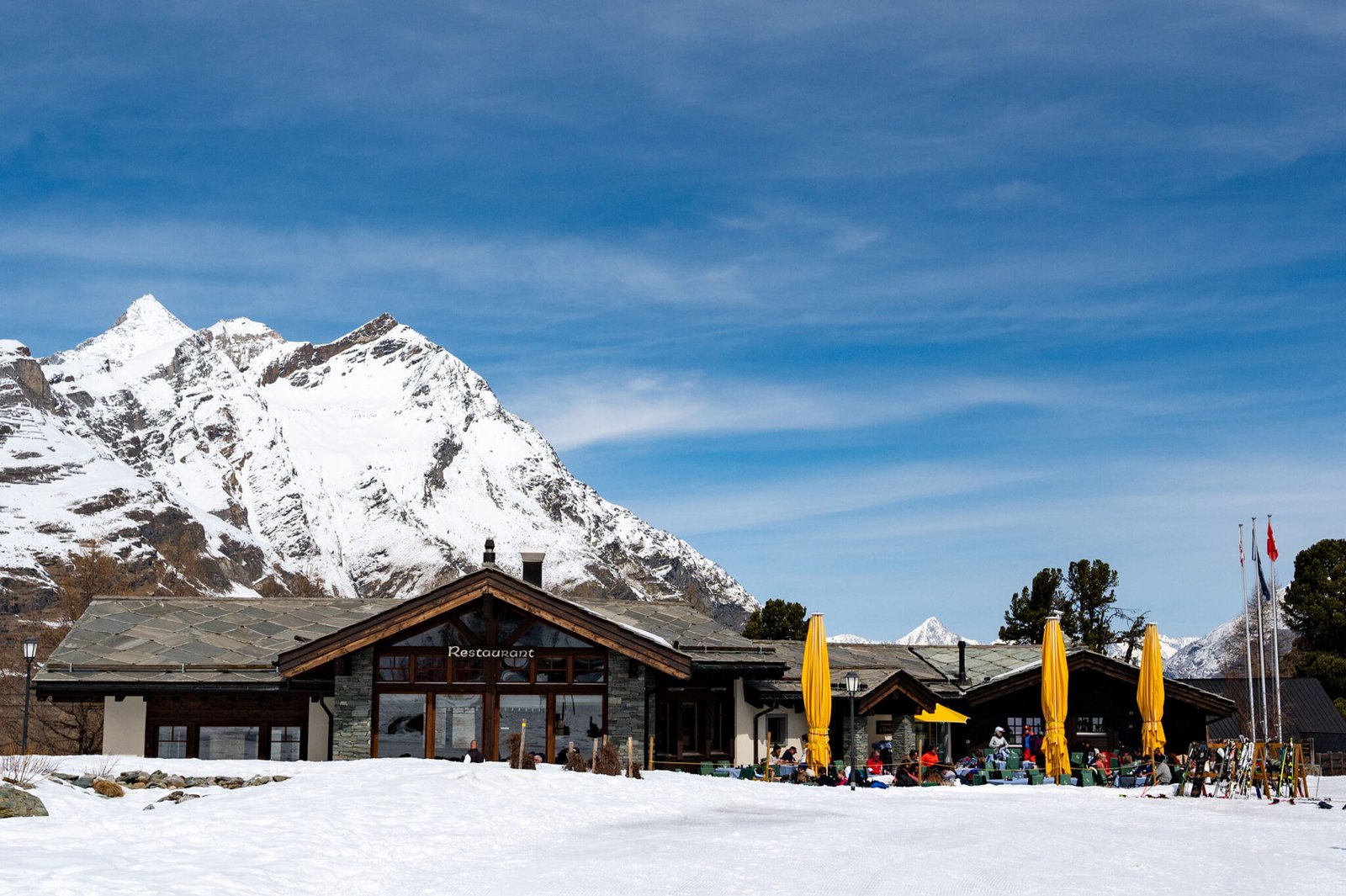 al bosco 2048x1363